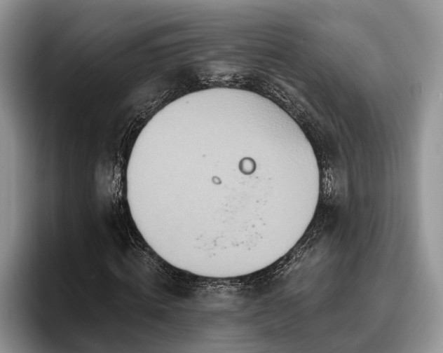 X0000095880820200801181203