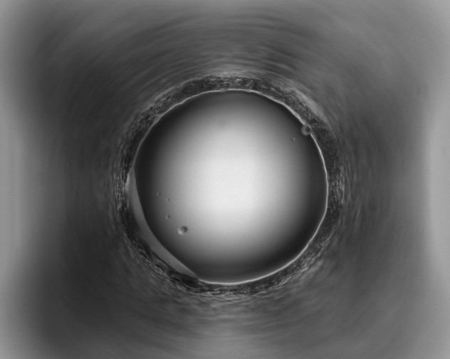 X0000095880821200801181203