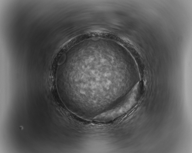 X0000095880822200801181203