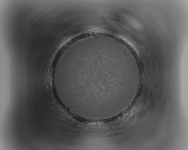 X0000095880823200801181203