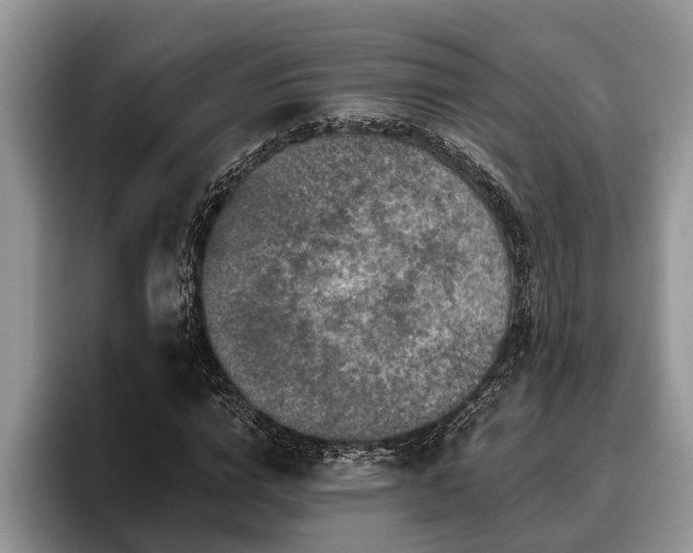 X0000095880824200801181203