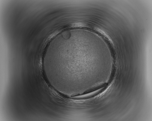 X0000095880825200801181203
