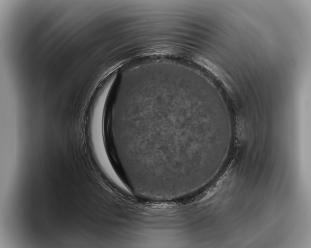 X0000095880826200801181204