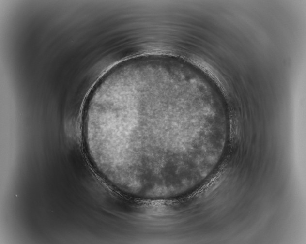 X0000095880828200801181204