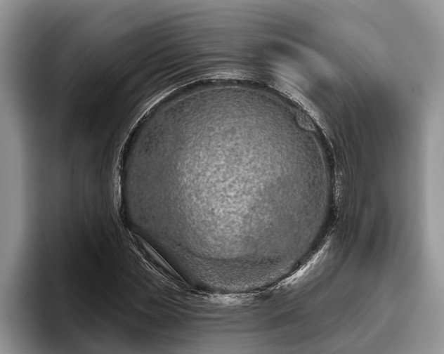 X0000095880829200801181204