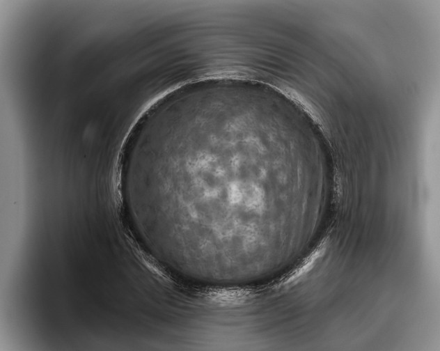 X0000095880830200801181204