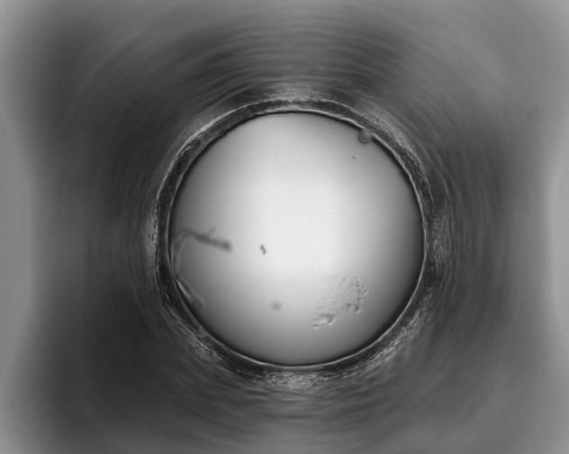 X0000095880831200801181204