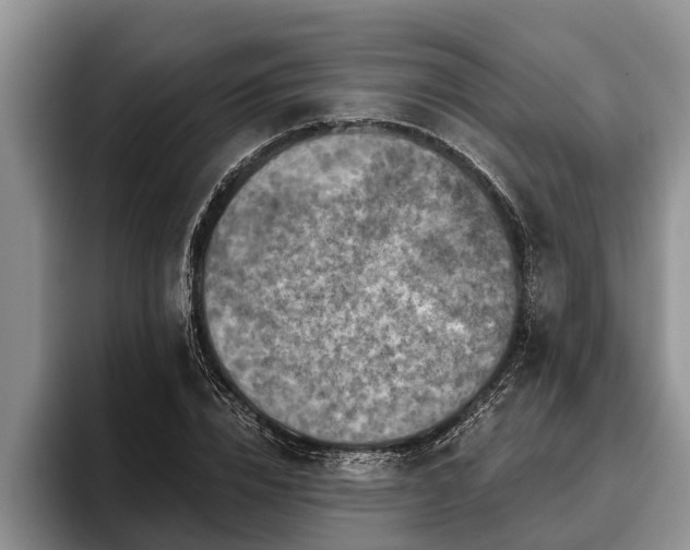 X0000095880832200801181204