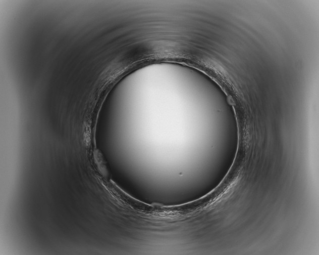 X0000095880833200801181204