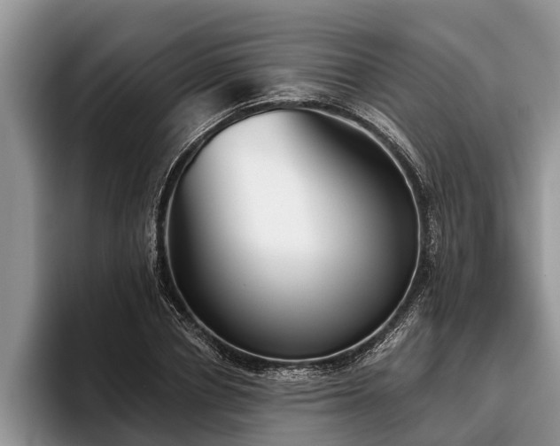 X0000095880834200801181204