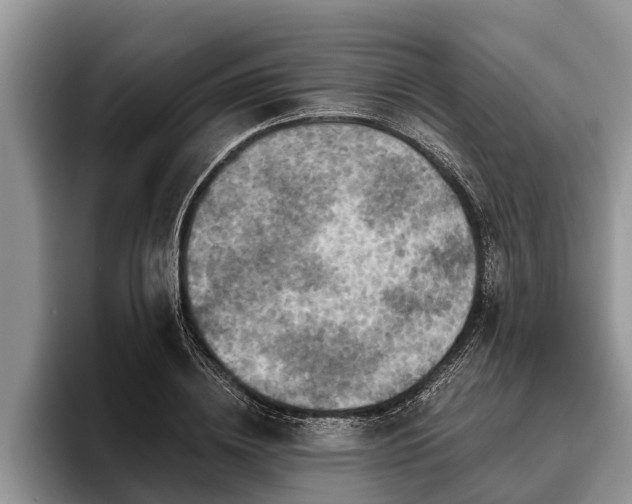 X0000095880836200801181204