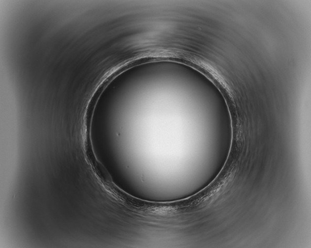 X0000095880837200801181204