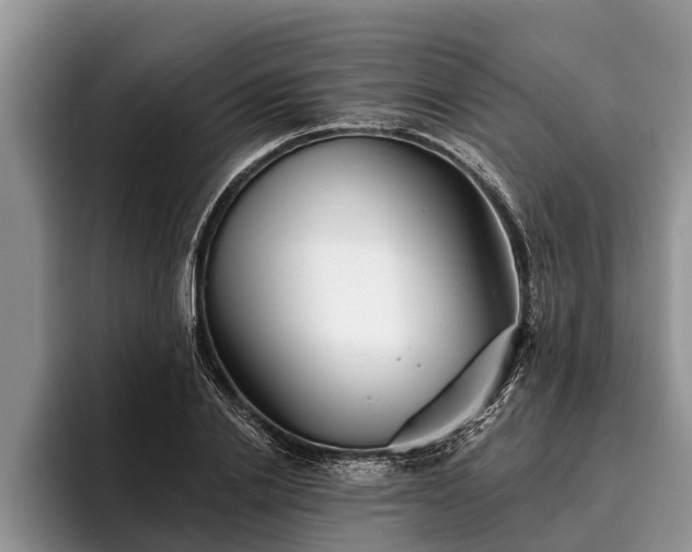 X0000095880838200801181204