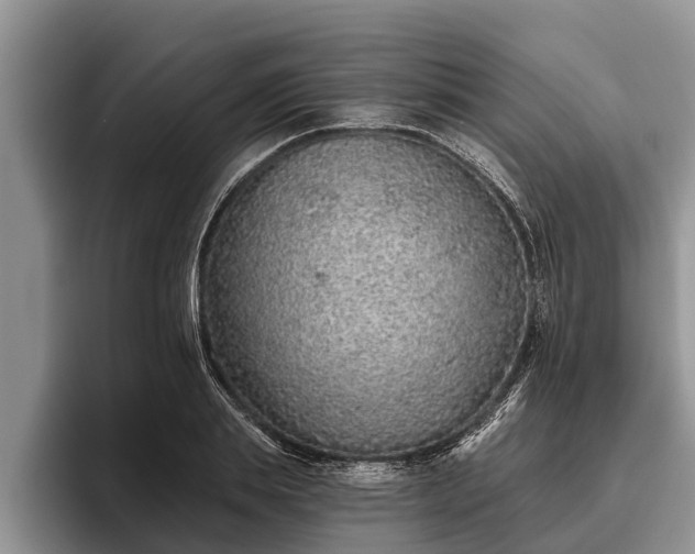 X0000095880839200801181204