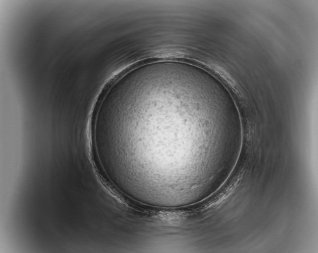 X0000095880840200801181204