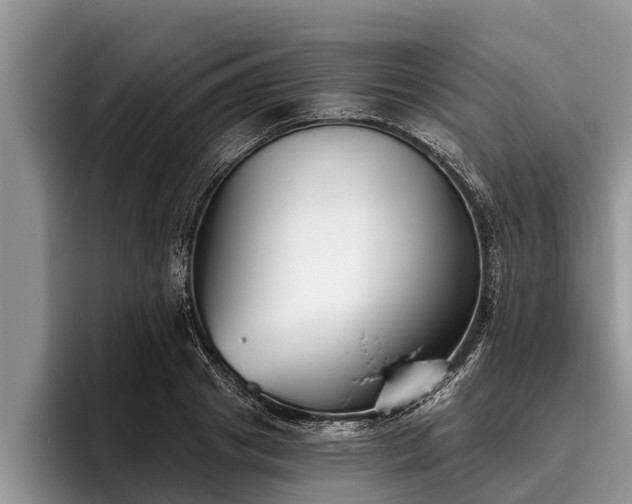 X0000095880841200801181204