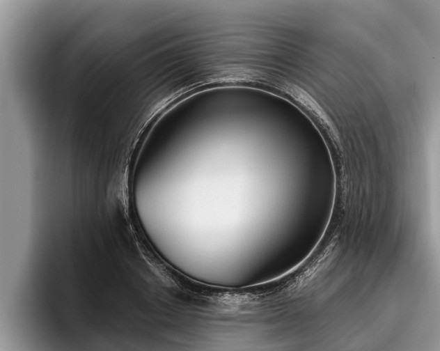 X0000095880842200801181204
