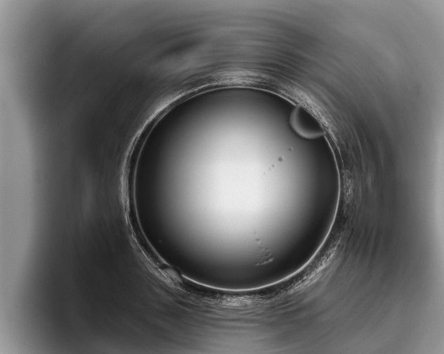 X0000095880843200801181204