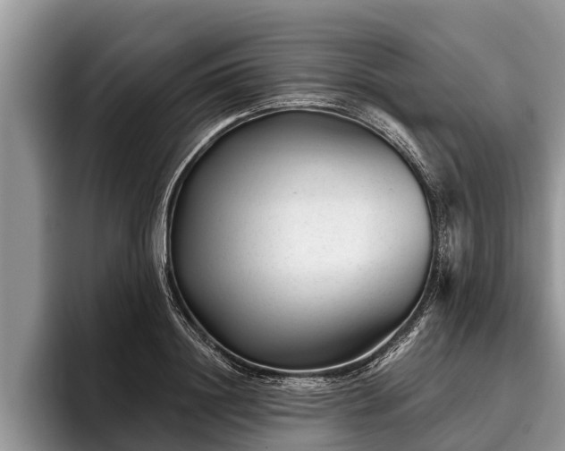 X0000095880844200801181204