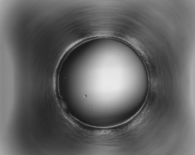 X0000095880846200801181204