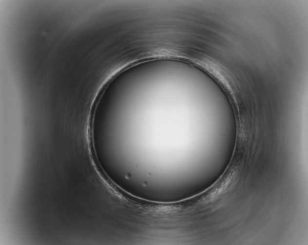 X0000095880847200801181204