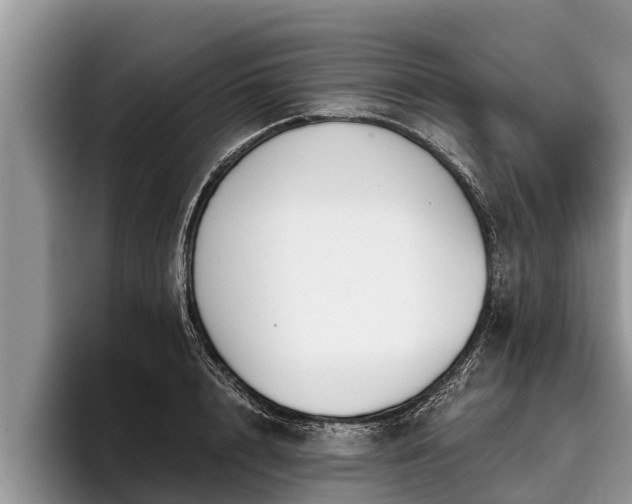 X0000095880848200801181204