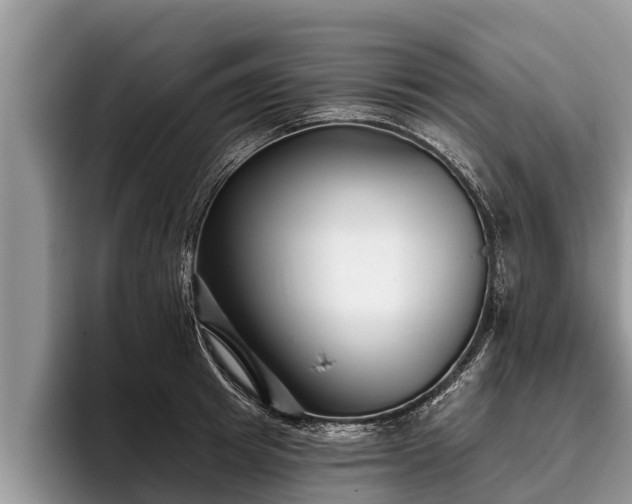 X0000095880849200801181204