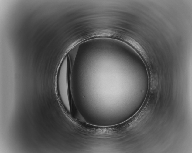 X0000095880850200801181204