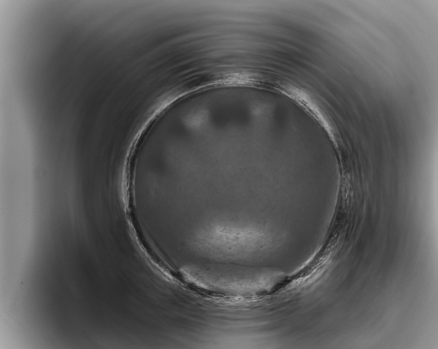 X0000095880851200801181204