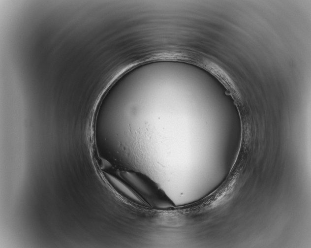 X0000095880852200801181204
