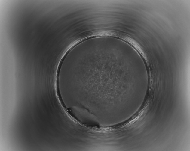 X0000095880853200801181204