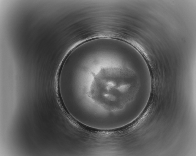 X0000095880854200801181204