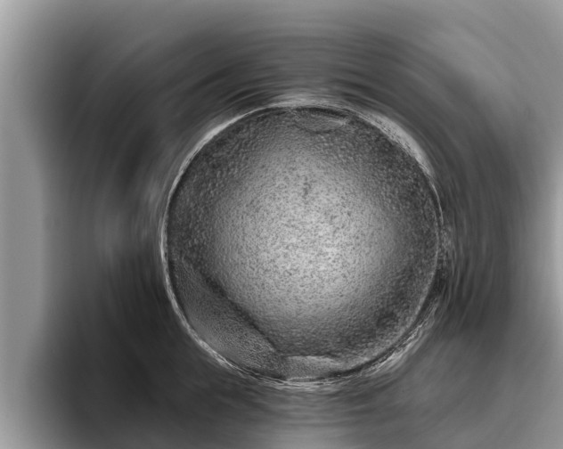 X0000095880855200801181204