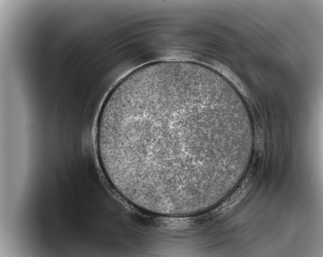 X0000095880856200801181204
