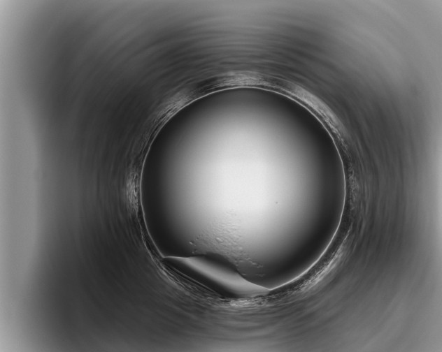 X0000095880857200801181204