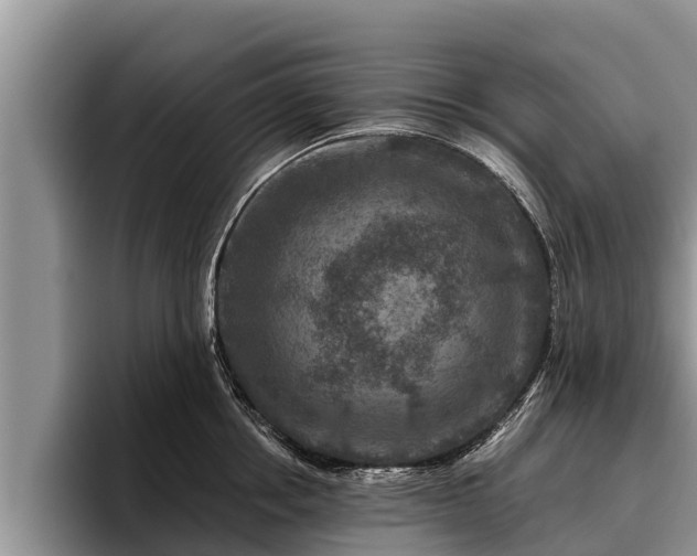 X0000095880858200801181204