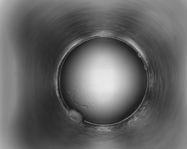 X0000095880861200801181204