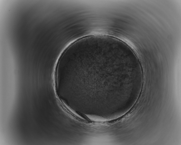 X0000095880864200801181204