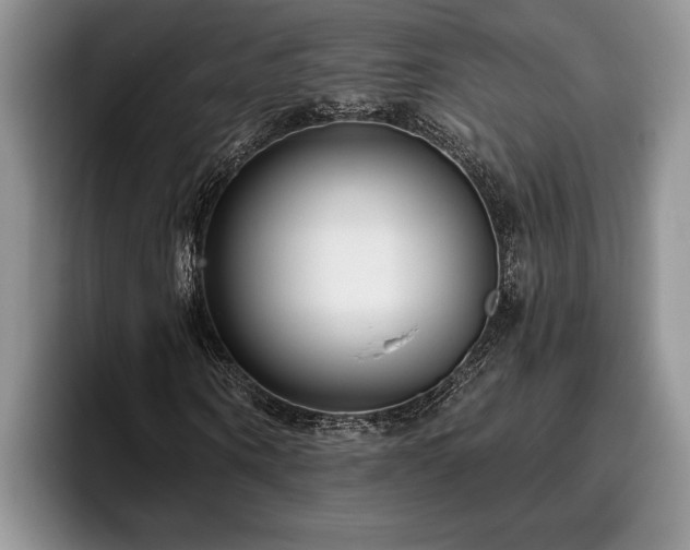 X0000095880866200801181203