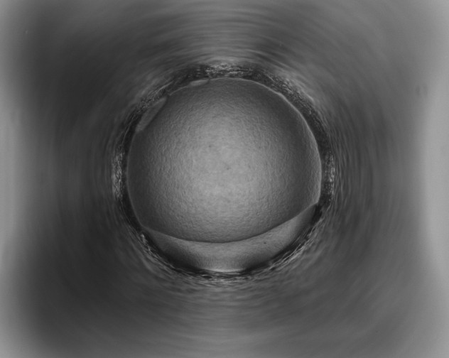 X0000095880868200801181203