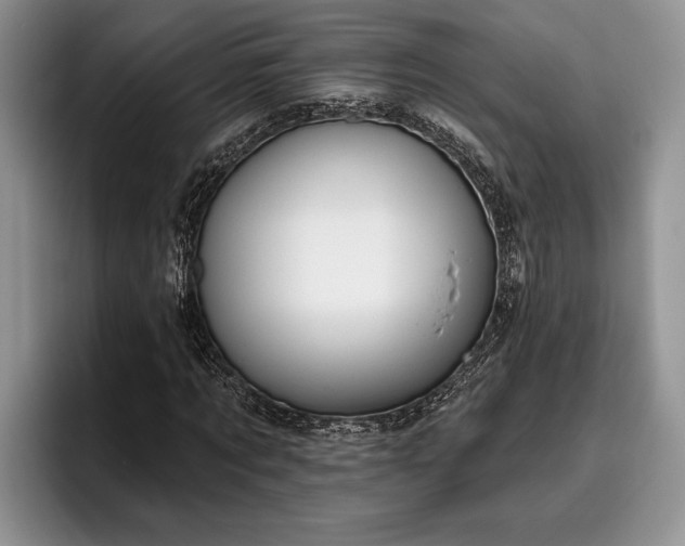 X0000095880869200801181203