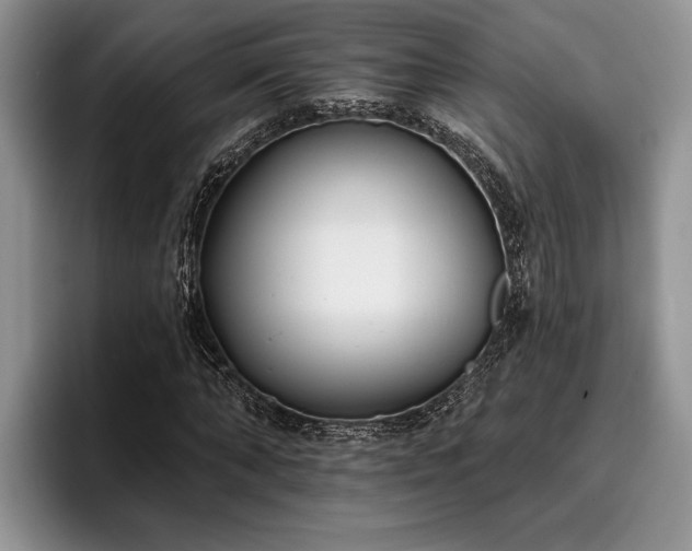 X0000095880870200801181203