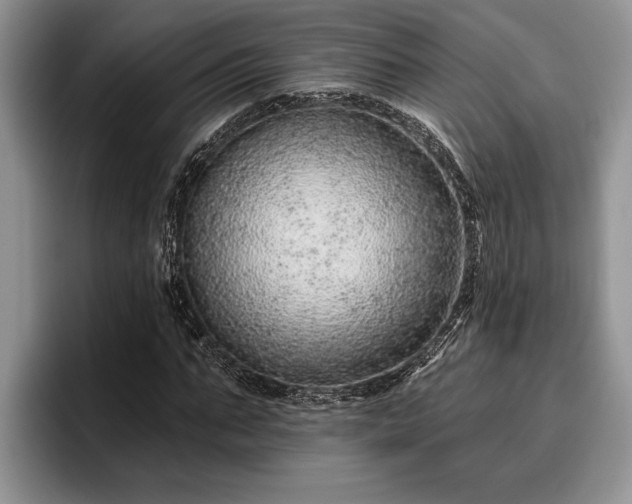 X0000095880871200801181203