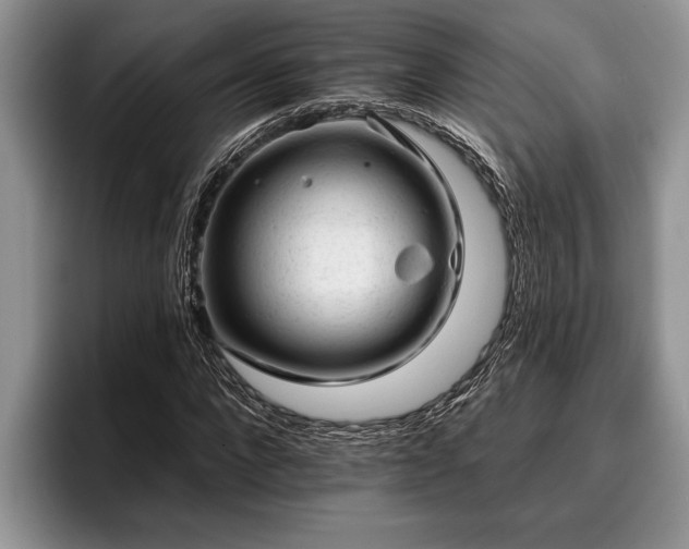 X0000095880872200801181203