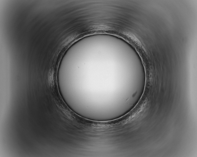 X0000095880873200801181203