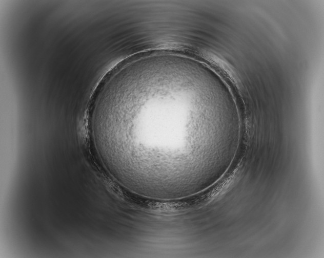 X0000095880875200801181203