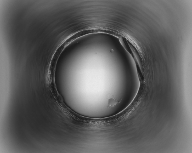 X0000095880876200801181203