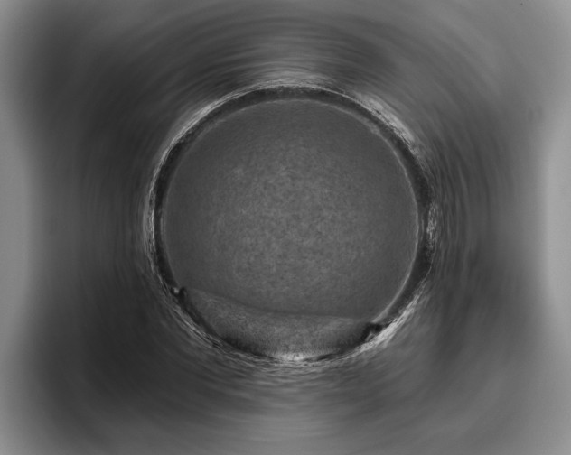 X0000095880877200801181203