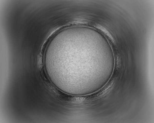 X0000095880878200801181203