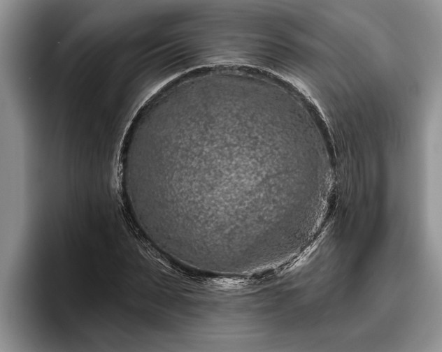 X0000095880879200801181203